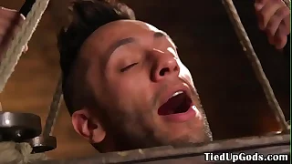 1562 sucking porn videos